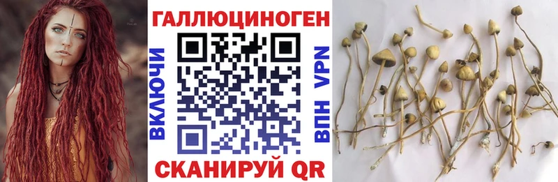 Купить закладки  Раменское  Псилоцибиновые грибы мухоморы 